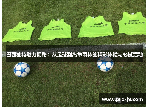 巴西独特魅力揭秘：从足球到热带雨林的精彩体验与必试活动