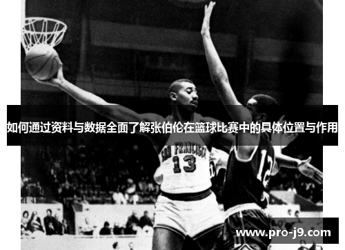 如何通过资料与数据全面了解张伯伦在篮球比赛中的具体位置与作用