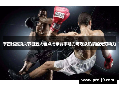拳击比赛顶尖节目五大看点揭示赛事魅力与观众热情的无穷动力