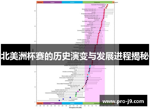 北美洲杯赛的历史演变与发展进程揭秘 北美洲杯赛的历史演变与发展进程揭秘