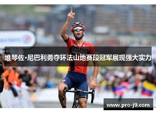 维琴佐·尼巴利勇夺环法山地赛段冠军展现强大实力
